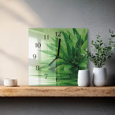 Relógio de vidro Aloe