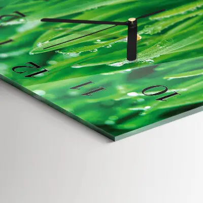 Relógio de vidro Grama verde