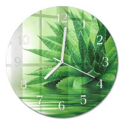 Relógio redondo Aloe