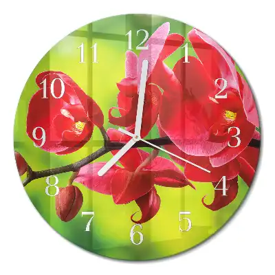 Relógio de parede redondo Orquídea
