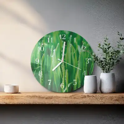 Relógio de decoração redondo Grama verde