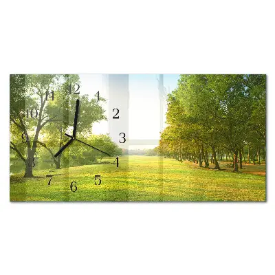 Relógio de parede Natureza verde