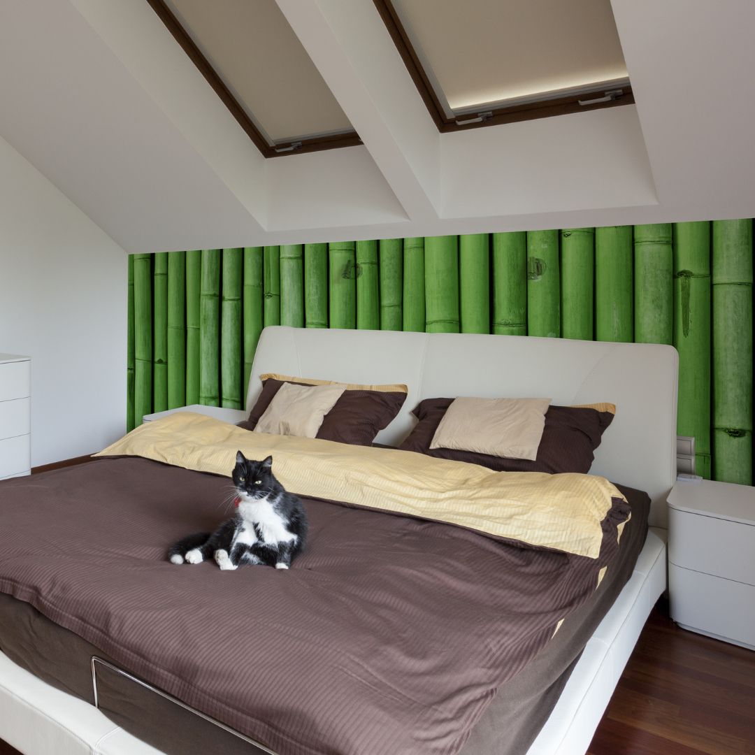 Papéis de parede fotográficos personalizados