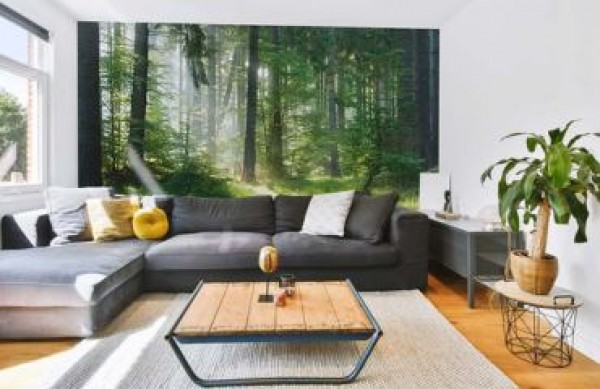 Papel de parede fotográfico para sala de estar - como escolher o motivo perfeito e criar um espaço único