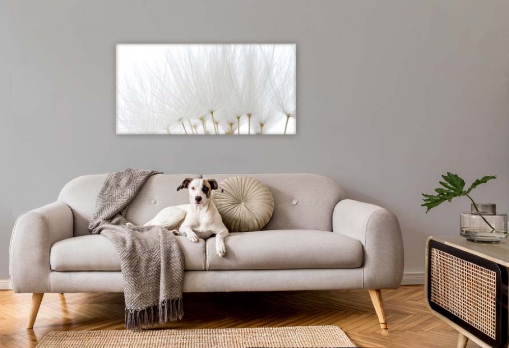 cor interior do ano 2026