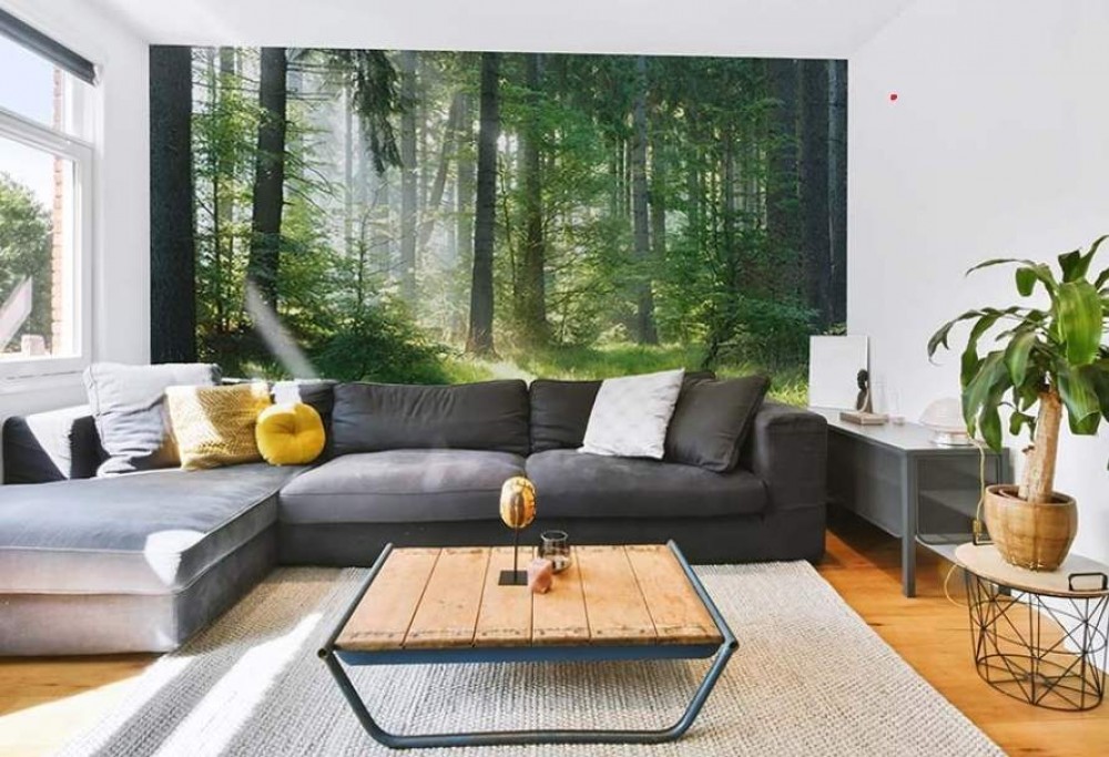 papéis de parede fotográficos para a sala de estar
