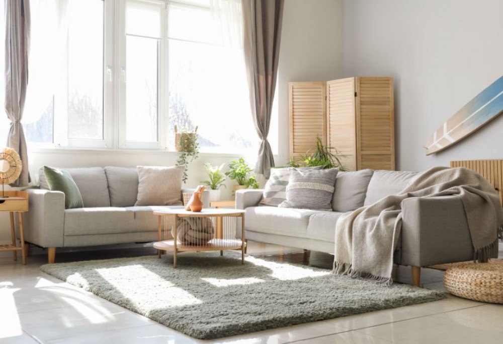 sala de estar em estilo natural