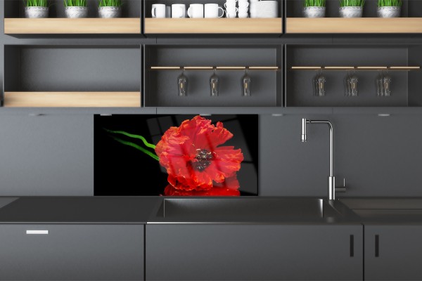 Painel de cozinha branco ou preto – qual escolher?