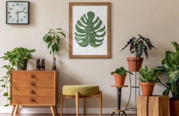 Como decorar sua casa no estilo de uma selva urbana? Selva urbana sem segredos