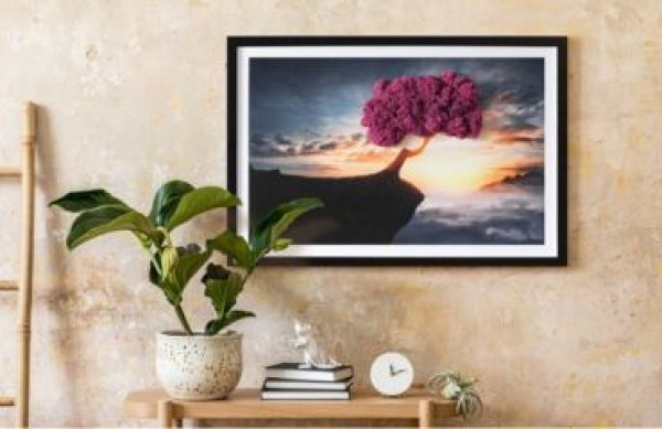 Pinturas de musgo – descobrindo a beleza da natureza